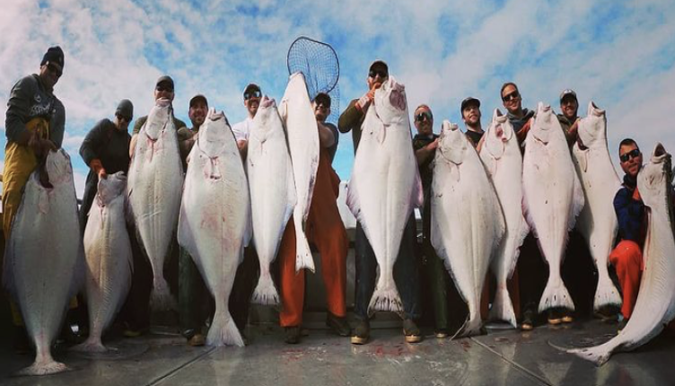 Alaska Halibut Fishing  Alaska Fish On Charters