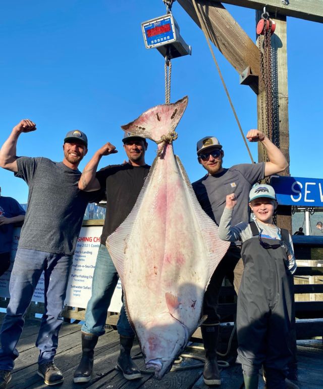 Alaska Halibut Fishing Charters Alaska Northern Outfitters Alaska Halibut Fishing Charters Alaska Northern Outfitters